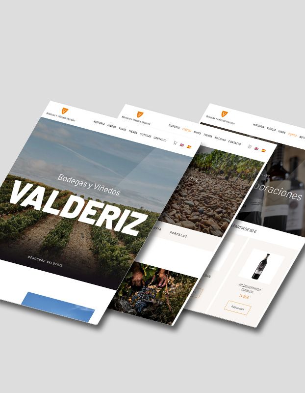 VALDERIZ3