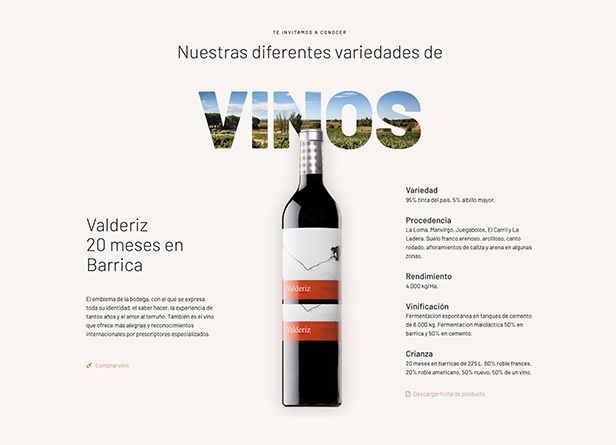 Valderiz-web