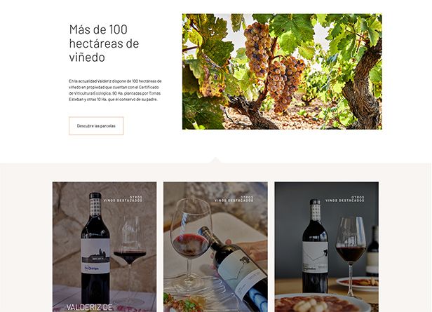 Valderiz-web2