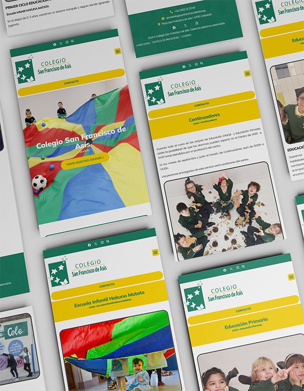 accionlab-proyecto-web-colegio-san-francisco-valladolid-3
