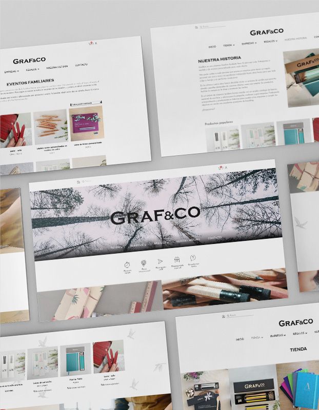 accionlab-proyecto-web-graffito-3