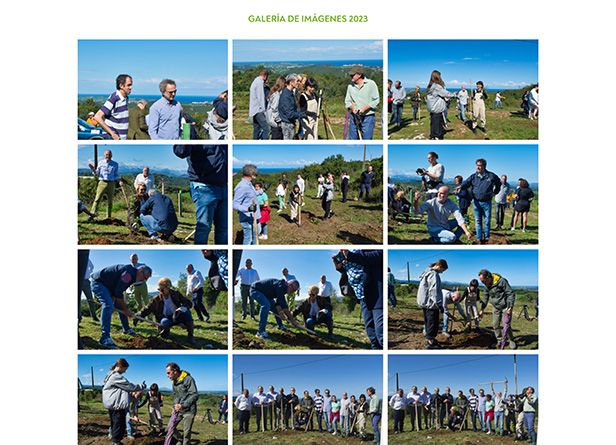 accionlab-web-bosques-de-cine-3