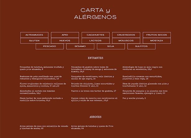 accionlab-web-terracotta-2