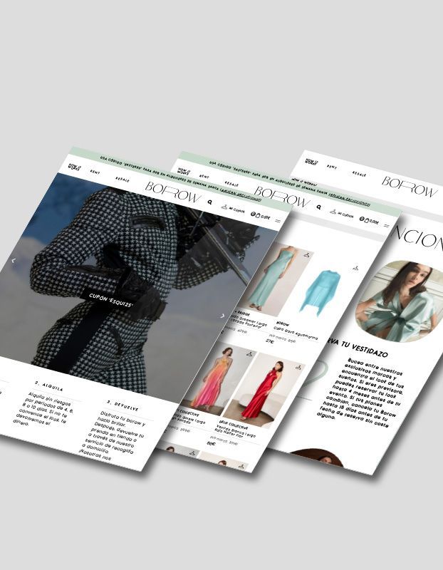 accionlab_proyecto_web_borow