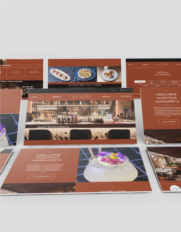 accionlab_proyecto_web_terracotta