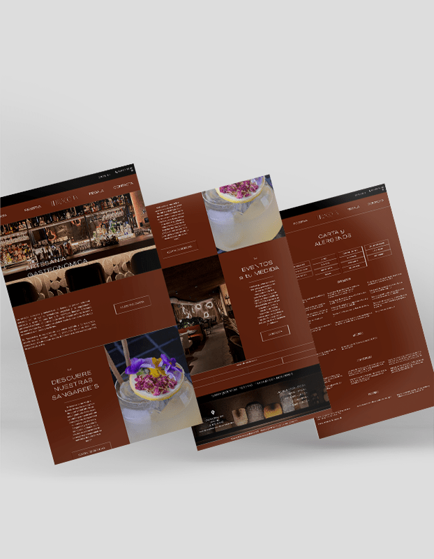 accionlab_proyecto_web_terracotta_3